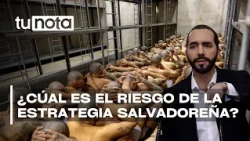 BEWARE OF THE BUKELE MODEL? Lawyers warn of risks for Honduras