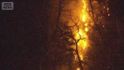 山梨の山火事延焼続く　住宅まで約50mに迫る(2026年1月10日)