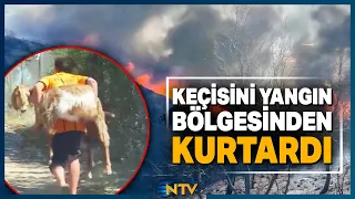 He Saved His Goat by Carrying It on His Back! The Heartwarming Moment Goes Viral | NTV