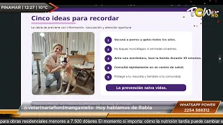 @veterinariaflordmanganiello Today we're talking about Rabies