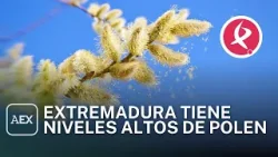 Primavera dura para los alérgicos en Extremadura | Ahora Extremadura