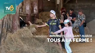 Open day at the Colline des Pies farm