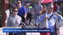 Фестиваль Dogwood обещает будущее Фейетвиллу, несмотря на проблемы с бюджетом.