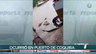 Fisherman attacked by a crocodile in Puerto Coquira