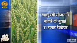 Mandi Khabar |मंडी खबर-चालू रबी सीजन में बाजरे की बुवाई 11 हज़ार हेक्टेयर| DD Kisan |January 07, 2026 Mandi Khabar |मंडी खबर-चालू रबी सीजन में बाजरे की बुवाई 11 हज़ार हेक्टेयर| DD Kisan |January 07, 2026