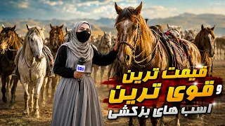 The Most Expensive and strongest Buzkashi Horses/قیمتی ترین و قوی ترین اسب‌های بزکشی در گزارش فرشته