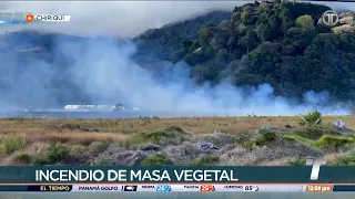 Wildfire consumes four hectares of land in Tierras Altas