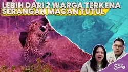 Macan Tutul Masuk Rumah di Pacet Bandung