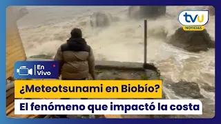 Meteotsunami: The explanation of the phenomenon that impacted the coast of Biobío