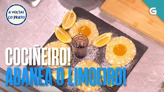 Cociñeiro! Abaneo o LIMOEIRO! | A VOLTAS CO PRATO