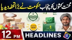 Mehnat kashon ko Punjab hukoomat Ne Bara Tohfa De Diya | Headlines 12 PM | 11 Feb 2026 | Lahore Rang