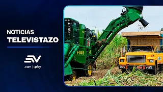 El Niño moves up sugar harvest and threatens supply in Ecuador | Televistazo Ecuavisa