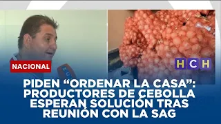 Piden “ordenar la casa”:  Productores de cebolla esperan solución tras reunión con la SAG