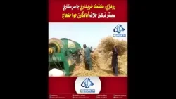 Mehran TV || Rohri: Farmers Protest Against Non-Opening of Government Wheat Procurement Centers