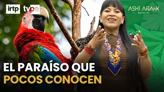Tambopata: The Hidden Paradise of the Peruvian Amazon You Must Visit 🌿🦜