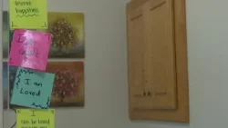 В связи с ростом числа случаев жестокого обращения с детьми в округе Юта, предпринимаются следующ...