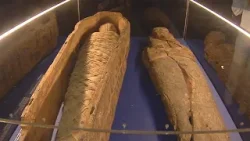 В Пермской галерее открылась выставка с мумиями