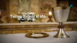 Nuestra Misa || 6º Domingo del tiempo durante el año
