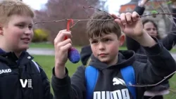 Expres Pardubic – 14. týden