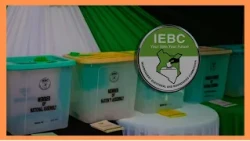 MPs face scrutiny over failure to amend election results livestreaming law