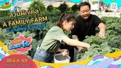 สวนผักเคล A FAMILY FARM อ.บางใหญ่ จ.นนทบุรี | เรื่องเด็ดเอ็ดตะโร | 30 มี.ค.69 (3/4) สวนผักเคล A FAMILY FARM อ.บางใหญ่ จ.นนทบุรี | เรื่องเด็ดเอ็ดตะโร | 30 มี.ค.69 (3/4)