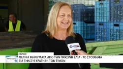 Θετικά τα πρώτα μηνύματα της πράσινης ελιάς στον Έβρο για την νέα ελαιοκομική περίοδο