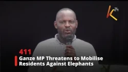 Ganze MP Threatens to Mobilise Residents Against Elephants