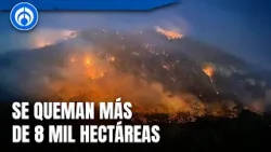 México enfrenta 130 incendios forestales al día de hoy