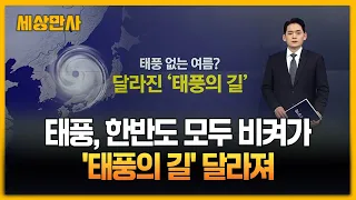 태풍 없는 여름?…더위 물러가면 '태풍의 길' 열릴 수도 [세상만사] #태풍 #한반도 #태풍의길