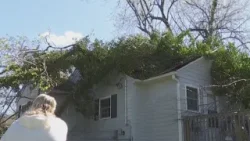 Graham family cleaning up after tree falls on home