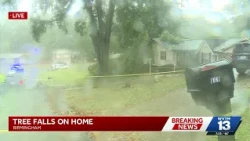 Officials: 1 killed after tree falls on Birmingham home overnight