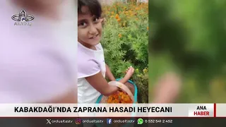 Ordu Altaş TV Ana Haber | 26 Eylül 2026