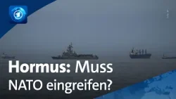 Iran-Krieg: Was Trumps Forderungen zur Unterstützung für Deutschland und die NATO bedeuten