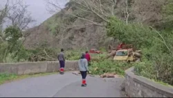 IL VENTO FORTE SCUOTE IL TIRRENO COSENTINO