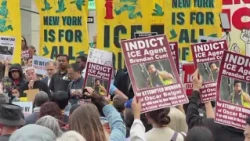 Protesters rally over ICE shooting in Marble Hill