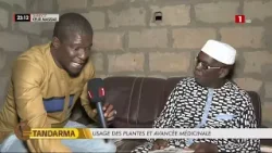 Usage des plantes et avancées médicales : Ndally à la rencontre de Talab Sarr, tradipraticien Usage des plantes et avancées médicales : Ndally à la rencontre de Talab Sarr, tradipraticien
