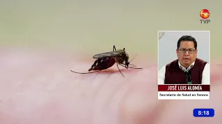 Fumigation campaign to eliminate dengue-carrying mosquitoes begins in Nogales