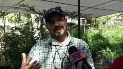 Free workshop on urban tree pruning and maintenance in Hermosillo