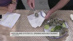 Hog Island Oyster Co. expanding with new East Bay location