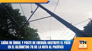 Fallen tree and power pole obstruct traffic at kilometer 78 of the Pacific Highway