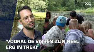 Kinderen ontdekken de natuur in Stadspark