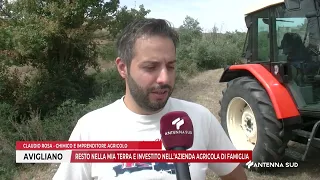 30 AGOSTO 2026 - AVIGLIANO(PZ) - RESTO NELLA MIA TERRA E INVESTITO NELL’AZIENDA AGRICOLA DI FAMIGLIA