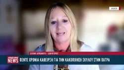 Πέντε χρόνια κάθειρξη σε ζευγάρι για κακοποίηση σκύλου στην Πάτρα