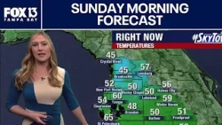 Погода в Тампе | Прогноз на воскресенье утром