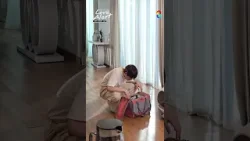 เบื้องหลังซีนแม่แมวพาแสนสี่กลับบ้าน | BTS SHORT CLIP | #LoveAlert เบื้องหลังซีนแม่แมวพาแสนสี่กลับบ้าน | BTS SHORT CLIP | #LoveAlert