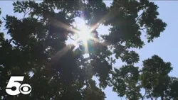 Fayetteville named 10th most challenging city for seasonal allergies