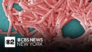 Bronx Legionnaires' disease cluster grows to 19 cases