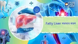 Fatty Liver সমস্যার কারণ। Health and Wellness