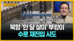 북항 '한 달 살이' 끝낸 부캉이…먼바다 이동은? [세상만사] 부캉이 #재진입 #인공수로