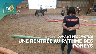 Domaine de Romazières: Back to school to the rhythm of ponies